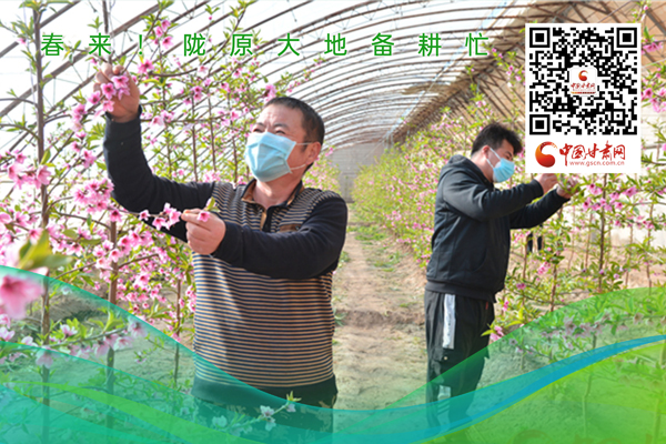 海報(bào)丨春來(lái)！隴原大地春耕忙