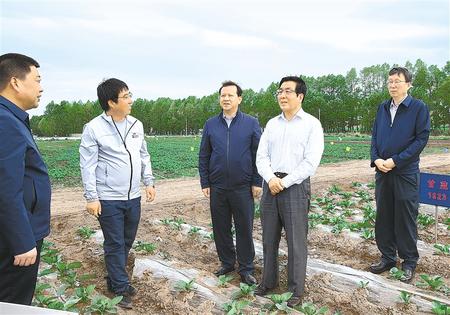 林鐸在天?？h調(diào)研指導脫貧攻堅工作時強調(diào)  拉開架勢持續(xù)用力構建扶貧產(chǎn)業(yè)體系 多措并舉固強補弱鞏固提升脫貧成果