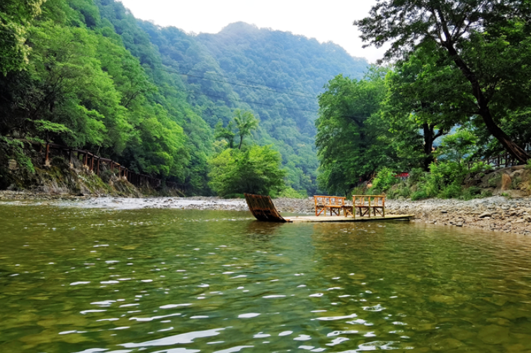 【小隴畫報(bào)·95期】康縣：來陽壩，“森”呼吸，我“氧”你