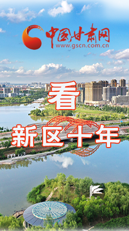 圖解|崛起！新區(qū)十年