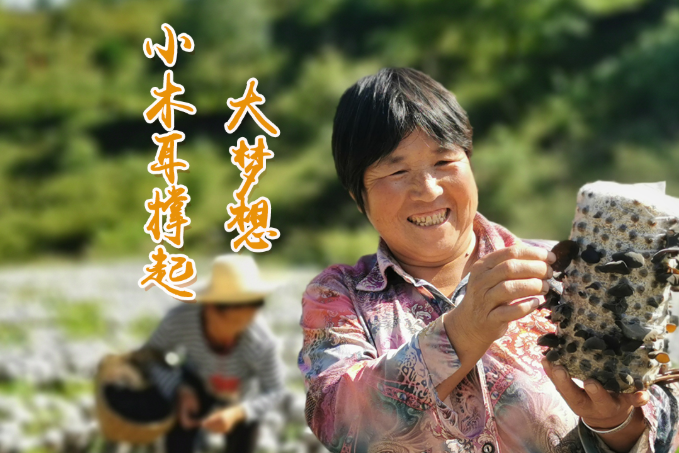 海報(bào)丨他們，乘“豐”破浪！