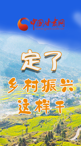 圖解|定了！全面推進(jìn)鄉(xiāng)村振興這樣干！
