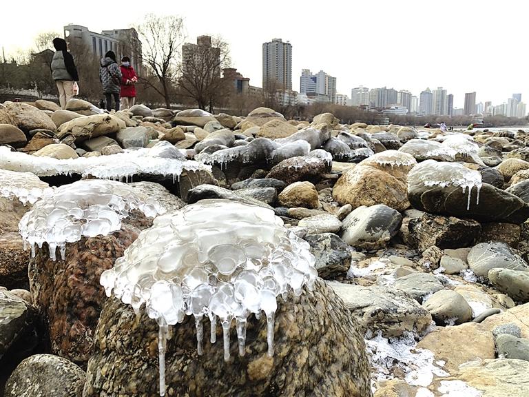 蘭州：水母上河灘？