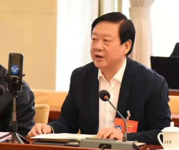 【聚焦2021全國兩會】全國人大代表、市委書記楊維俊接受中國日報記者采訪