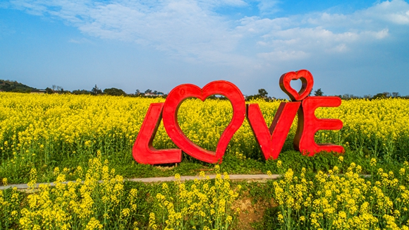 “l(fā)ove”創(chuàng)意拍照墻。廖濤 攝