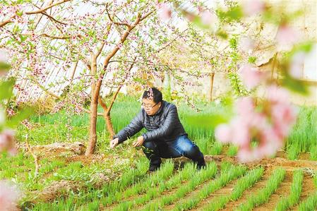 甘肅：時(shí)令催人耕種忙，不誤田間一季春