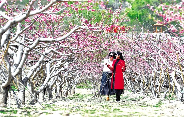 臨夏州各縣市多個旅游景區(qū)景點(diǎn)游人如織