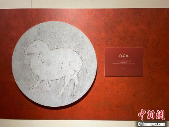 圖為展覽現(xiàn)場?！〗瓧顭?攝