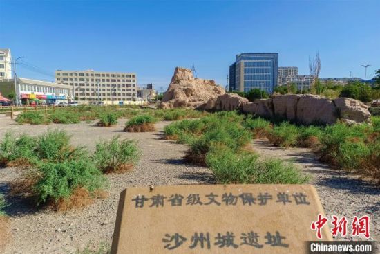 圖為沙州郡城遺址公園古遺址。　王斌銀 攝