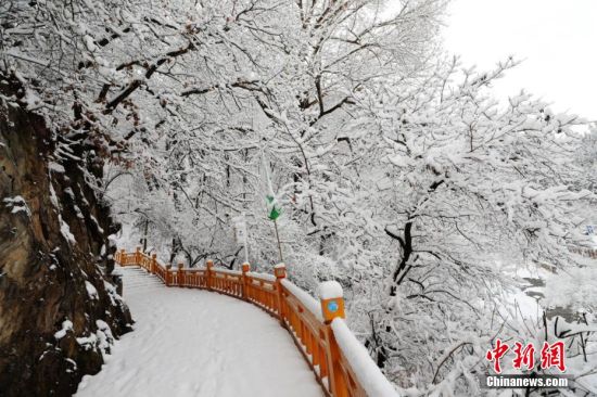 圖為上山的石階被雪覆蓋。張?zhí)鞂?攝