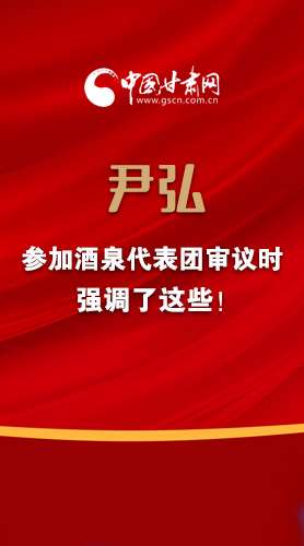【2022甘肅兩會·圖解】尹弘書記參加酒泉代表團審議時強調(diào)了這些！