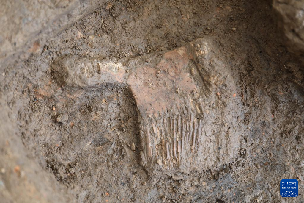 河南南陽市黃山新石器時代遺址出土的屈家?guī)X文化骨梳（資料圖）。