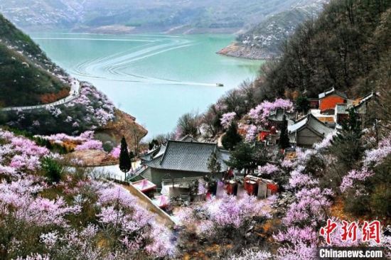 甘肅平?jīng)鍪惺侵袊?guó)優(yōu)秀旅游城市。圖為平?jīng)鲠轻忌较率锾一ㄊ㈤_。(資料圖) 平?jīng)鍪形麄鞑抗﹫D