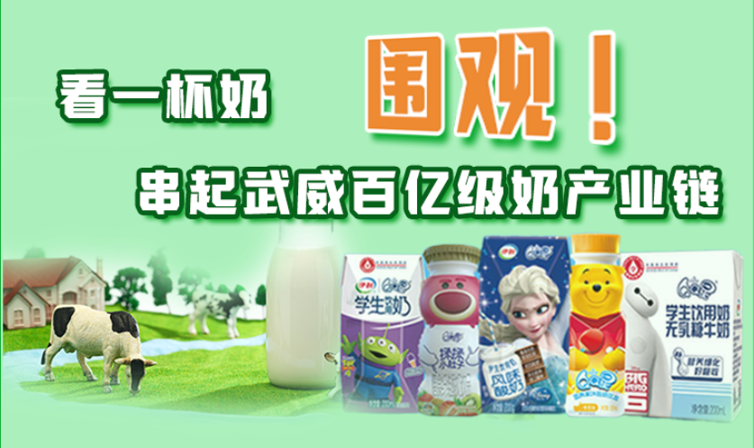 圖解|圍觀！看一杯奶串起武威百億級(jí)奶產(chǎn)業(yè)鏈