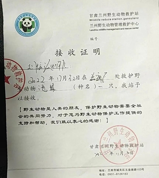 受到救助的池鷺被蘭州野生動(dòng)物保護(hù)站接收。（蘭州市公安局七里河分局供圖）
