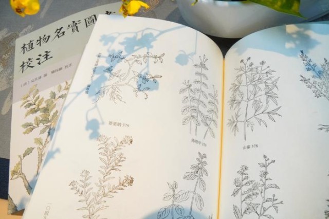 《植物名實(shí)圖考校注》內(nèi)頁(yè)。圖片來(lái)源：中華書(shū)局供圖