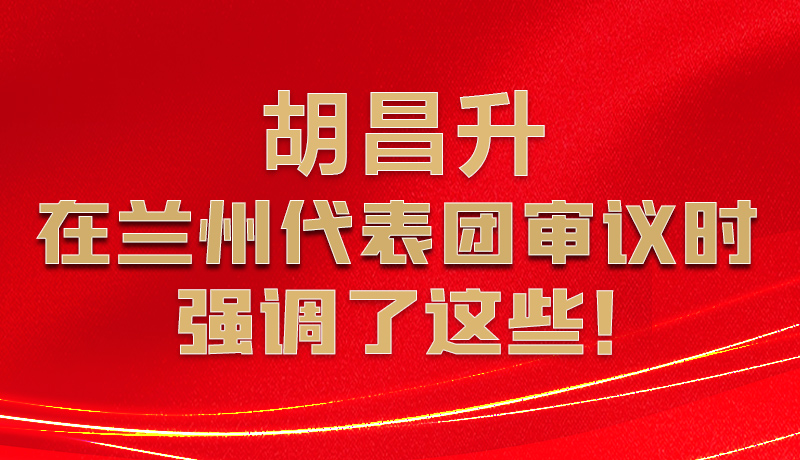圖解|胡昌升在蘭州代表團審議時強調了這些！