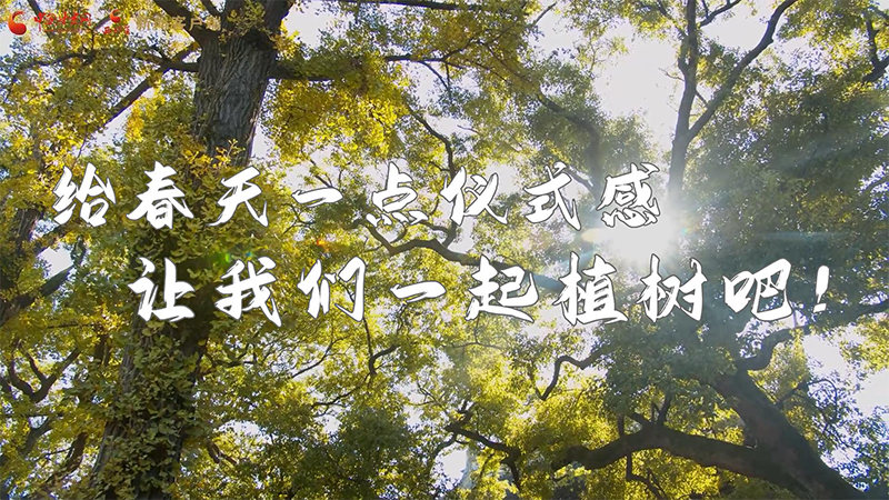 短視頻|給春天一點儀式感，讓我們一起植樹吧！