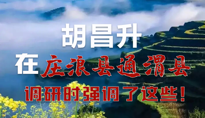 圖解|胡昌升在莊浪縣通渭縣調(diào)研時(shí)強(qiáng)調(diào)了這些！