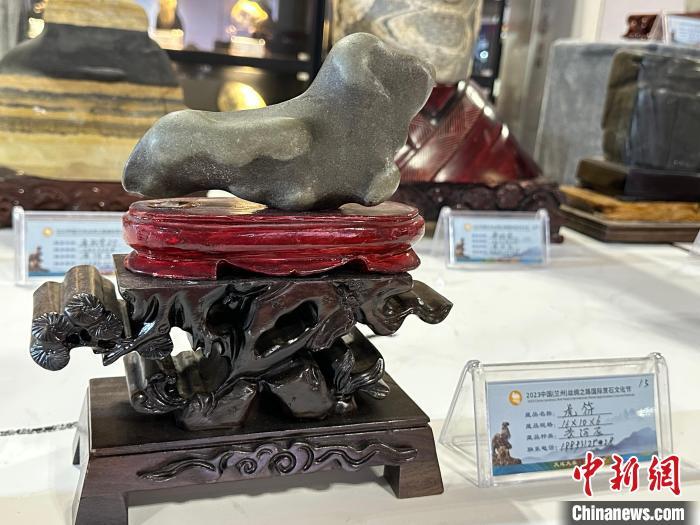 8月3日——7日，2023中國(蘭州)絲綢之路國際賞石文化節(jié)在甘肅國際會(huì)展中心舉行。圖為名為《虎符》的黃河石。楊娜 攝</p><p>