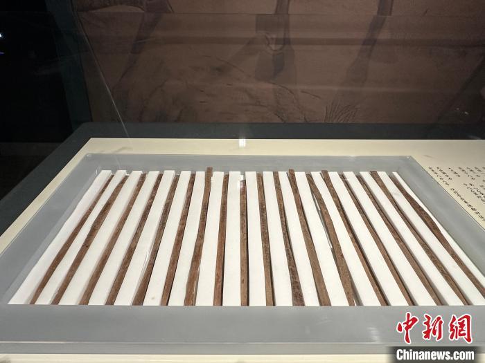 圖為甘肅簡(jiǎn)牘博物館展陳的漢簡(jiǎn)。中新社記者 戴文昌 攝
