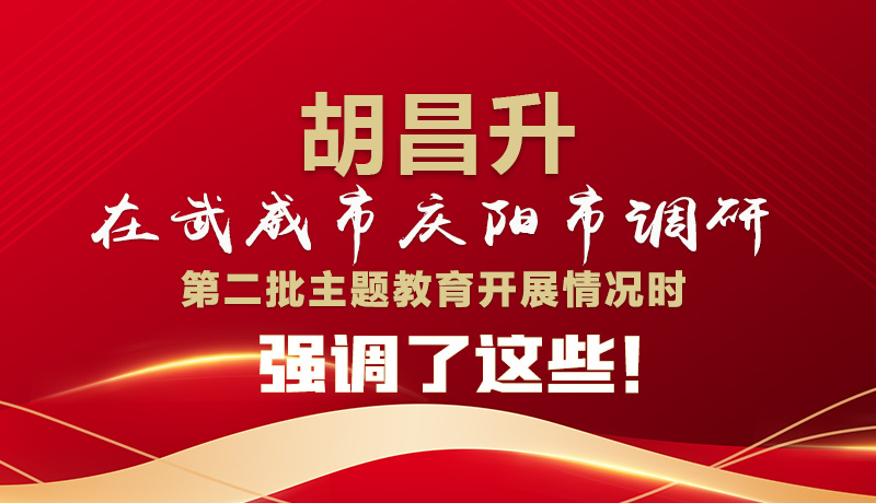 圖解|胡昌升在武威市慶陽市調(diào)研第二批主題教育開展情況時強(qiáng)調(diào)了這些！