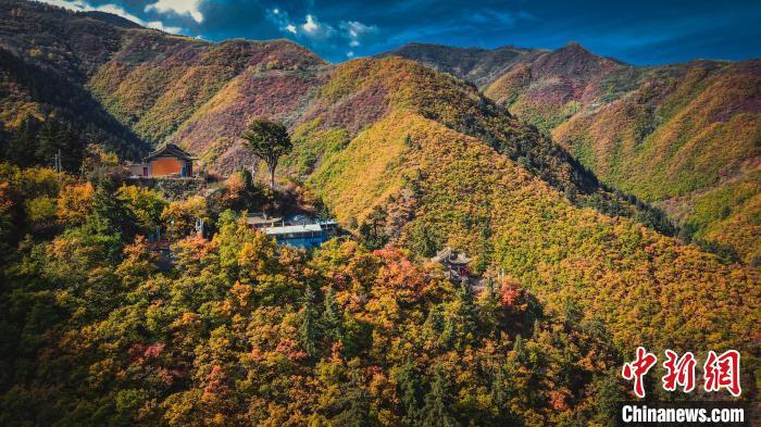 深秋，位于蘭州市榆中縣的興隆山，似打翻調(diào)色板。金峯 攝