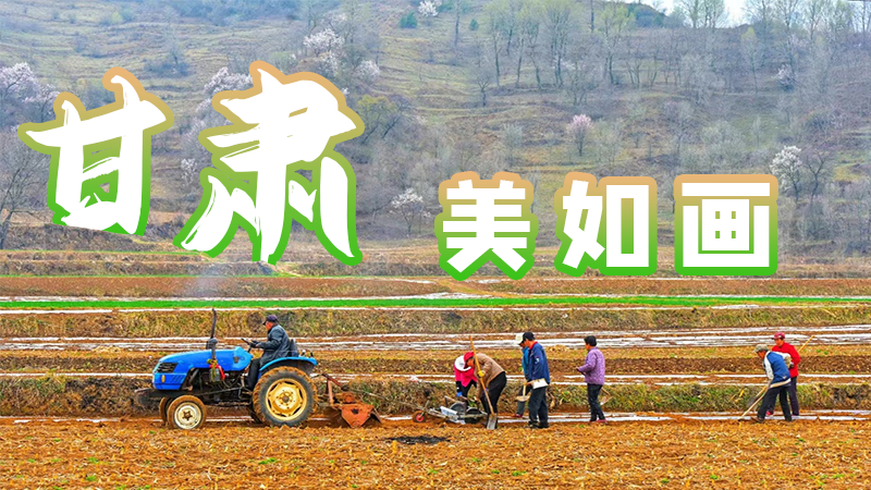 微海報(bào)|甘肅，美如畫