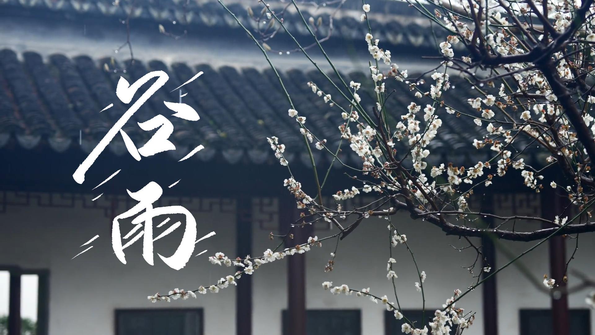 【節(jié)氣里的大美甘肅】谷雨，春天的最后一次回眸