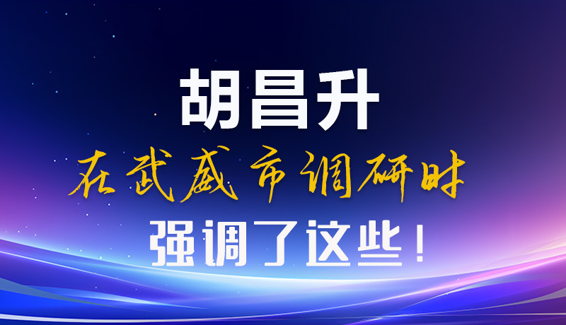圖解|胡昌升在武威市調(diào)研時(shí)強(qiáng)調(diào)了這些！