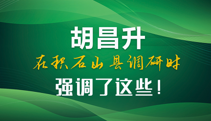 圖解|胡昌升在積石山縣調(diào)研時強調(diào)了這些！