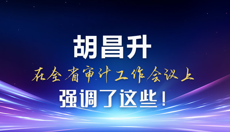 圖解|胡昌升在全省審計(jì)工作會(huì)議上強(qiáng)調(diào)了這些！
