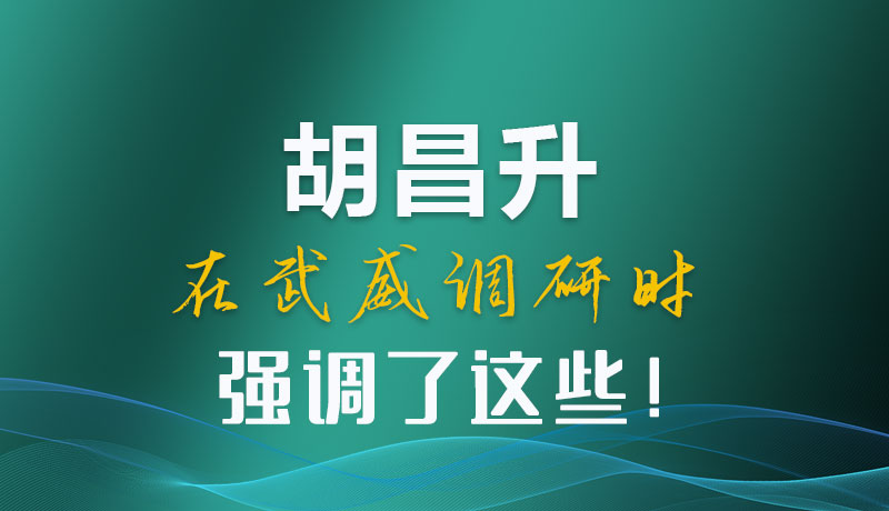 圖解|胡昌升在武威調(diào)研時強(qiáng)調(diào)了這些！