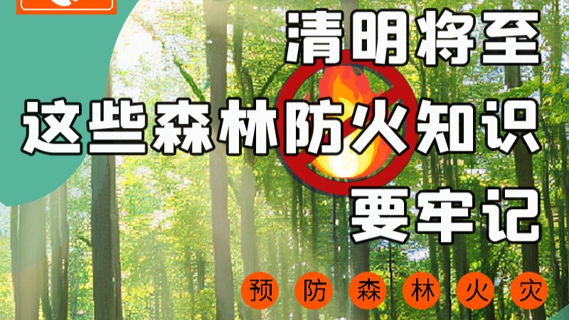 【甘快看】圖解|緊繃“安全弦”！清明，這些森林防火知識(shí)要牢記