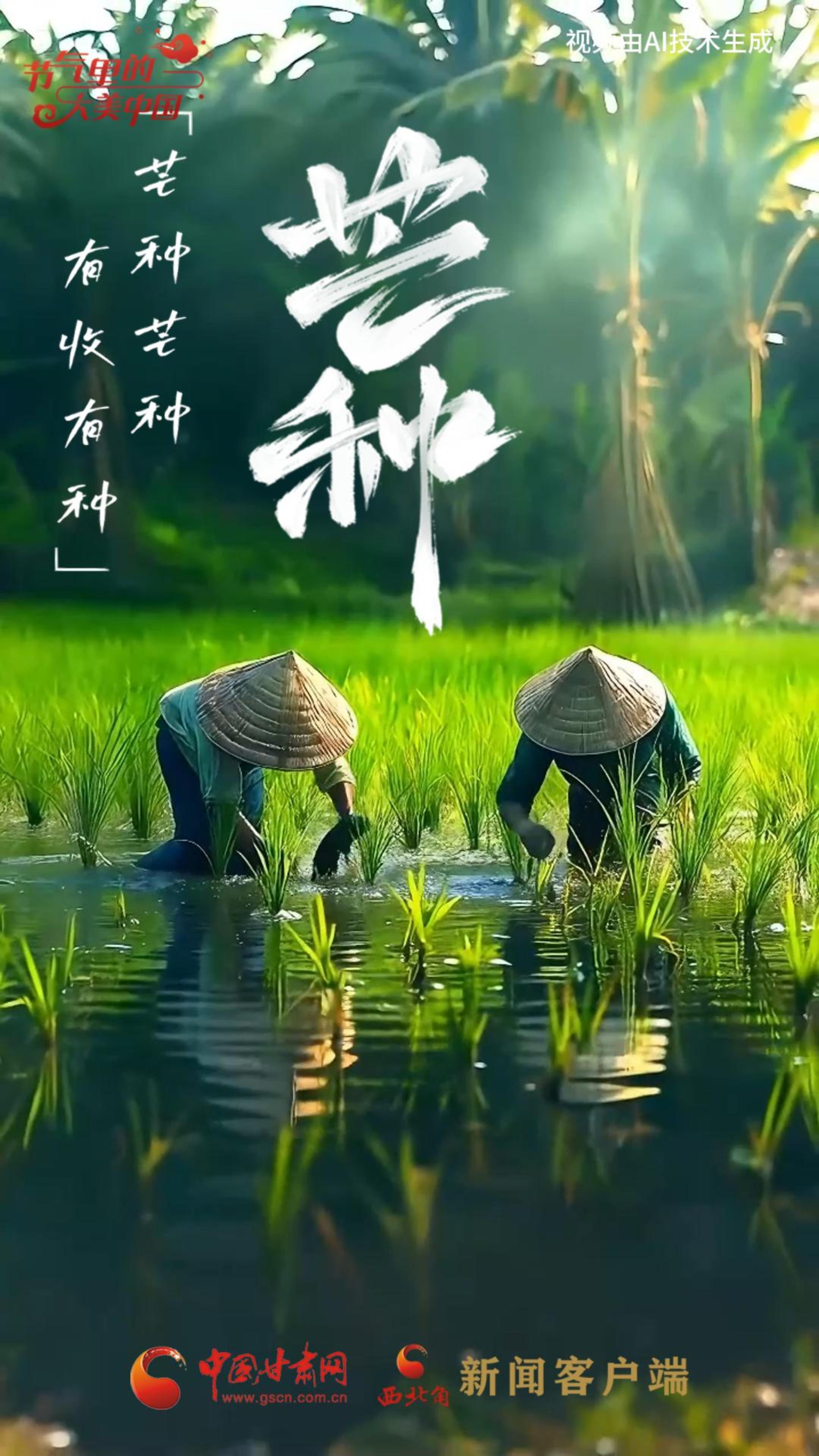 節(jié)氣里的大美甘肅|今日芒種：“芒”有所獲，“種”有所得
